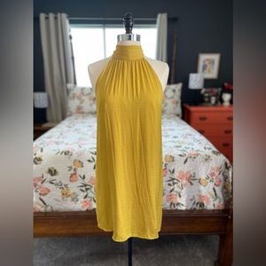 Naked Zebra Shift Dress